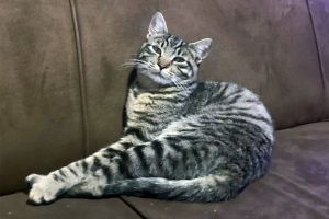Azrael