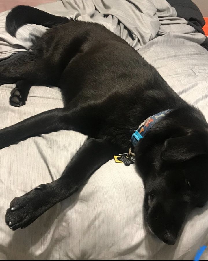 Chico (New Digs) 3