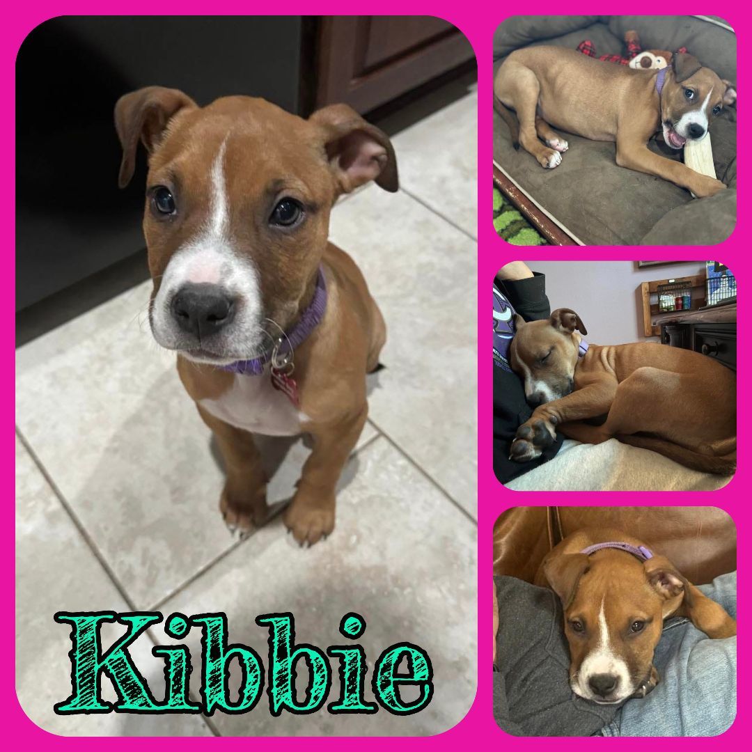 Kibbie