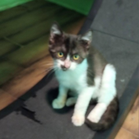 Terrance 3