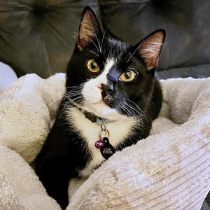 Tom