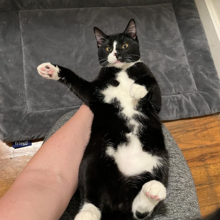 Tom 2