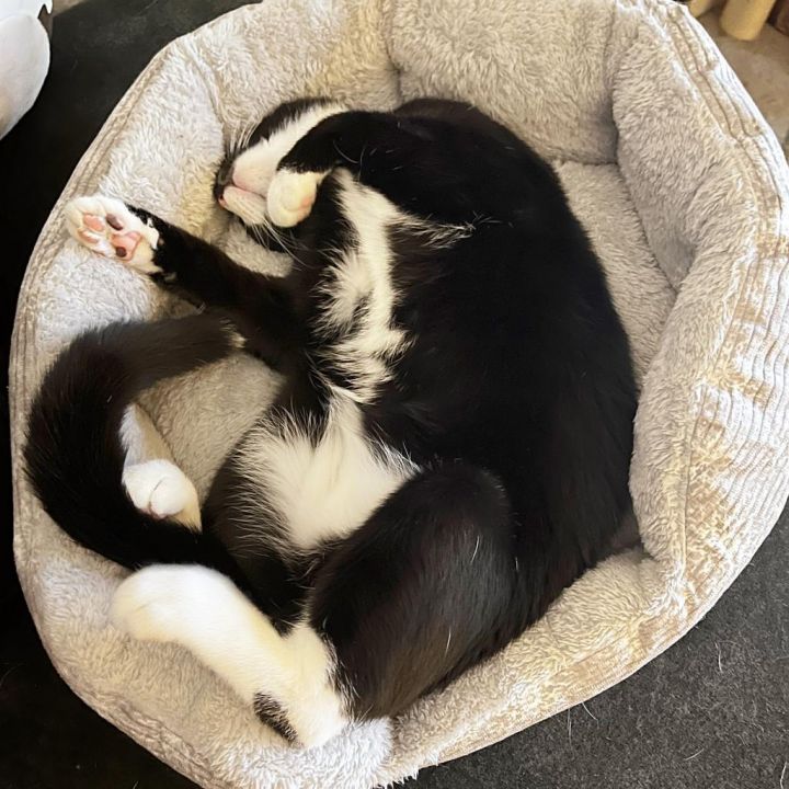 Tom 3