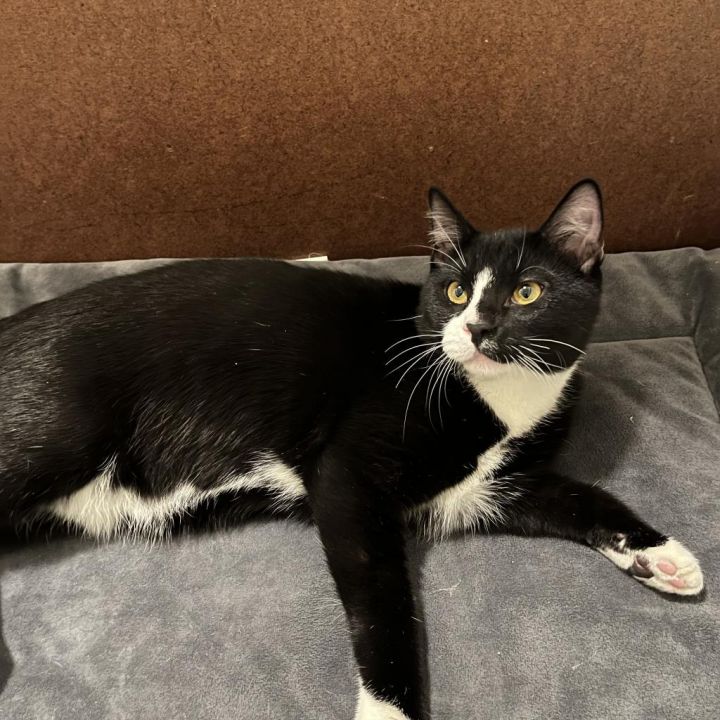 Tom 4