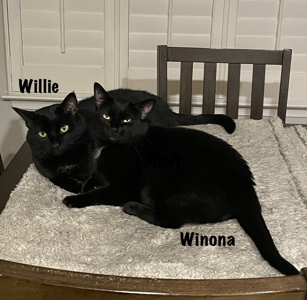 Winona