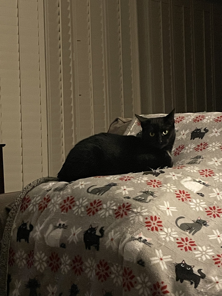 Winona