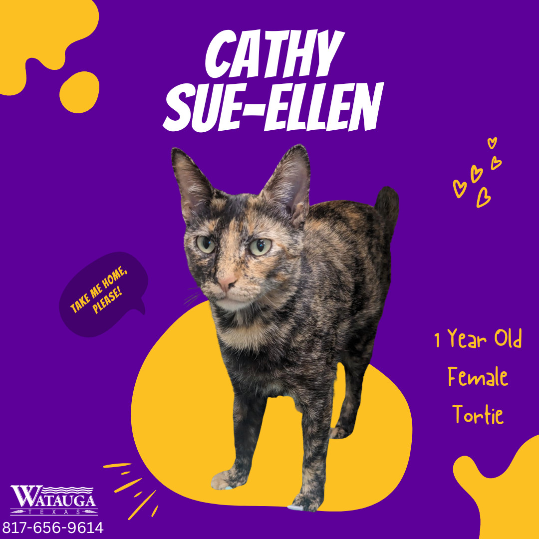 Cathy Sue-Ellen