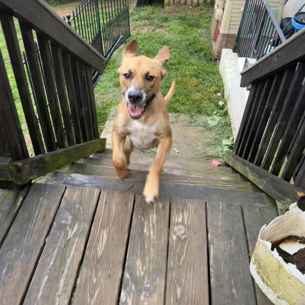Wally