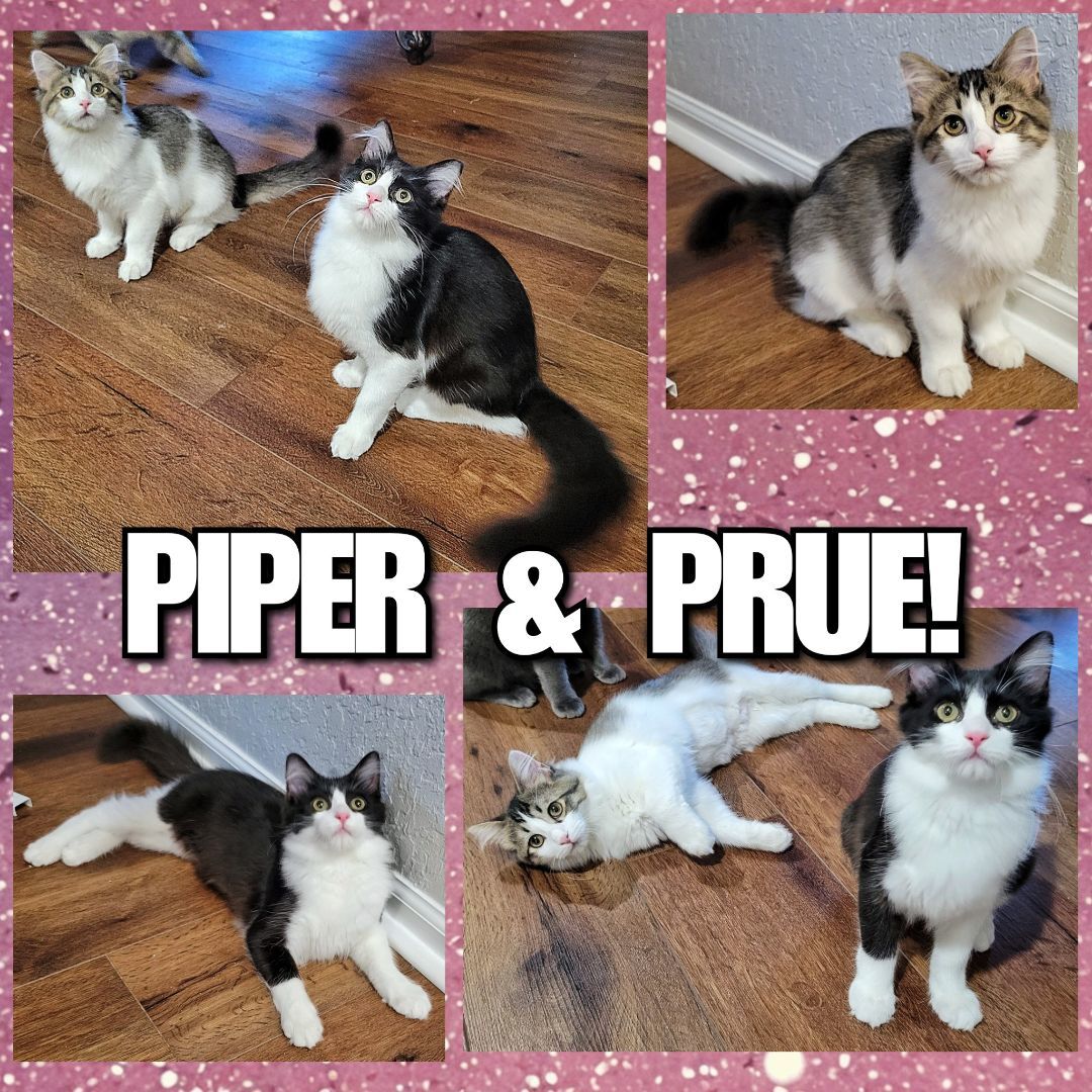 Prue & Piper 