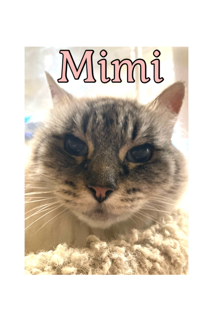 Mimi 2