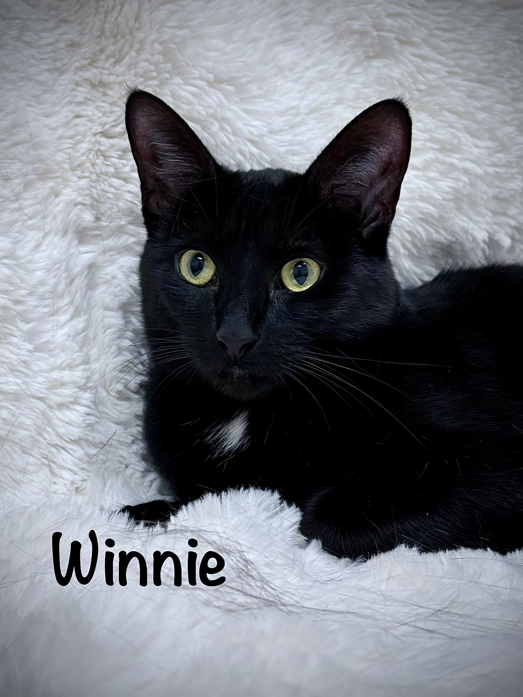 Winnie