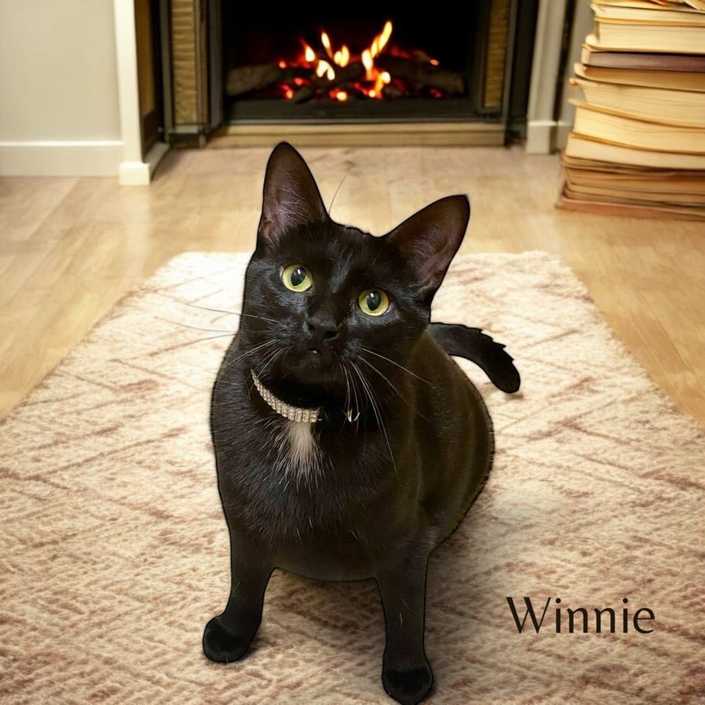Winnie