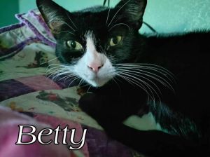 Approximate date of birth 412022 Betty is a little love bug She is curious fun and loves to exp