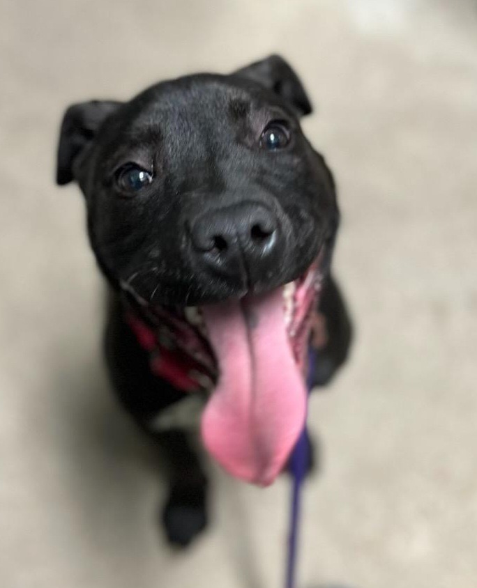 Valero/Xena