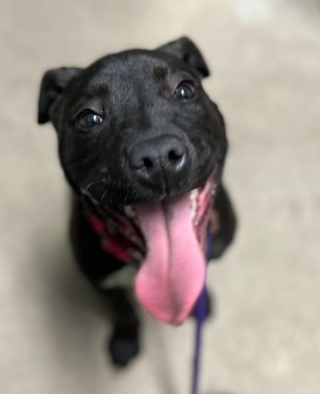 Valero/Xena