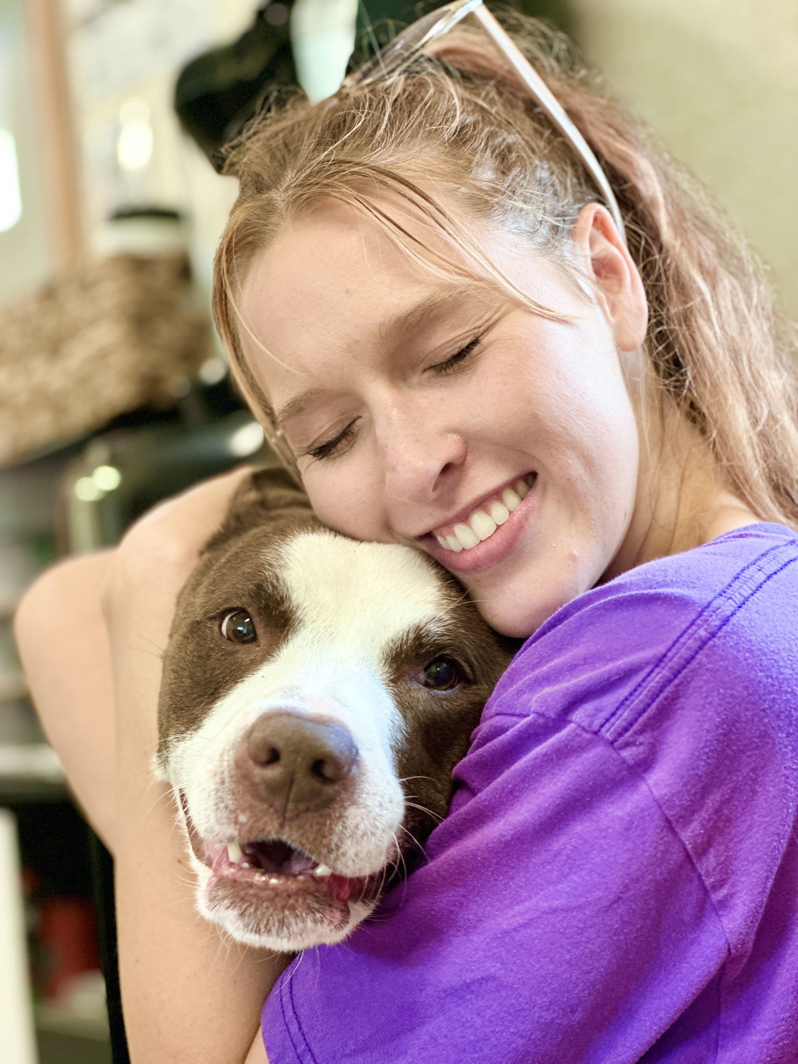 Sydney, an adoptable Pit Bull Terrier, Labrador Retriever in West Cornwall, CT, 06796 | Photo Image 3
