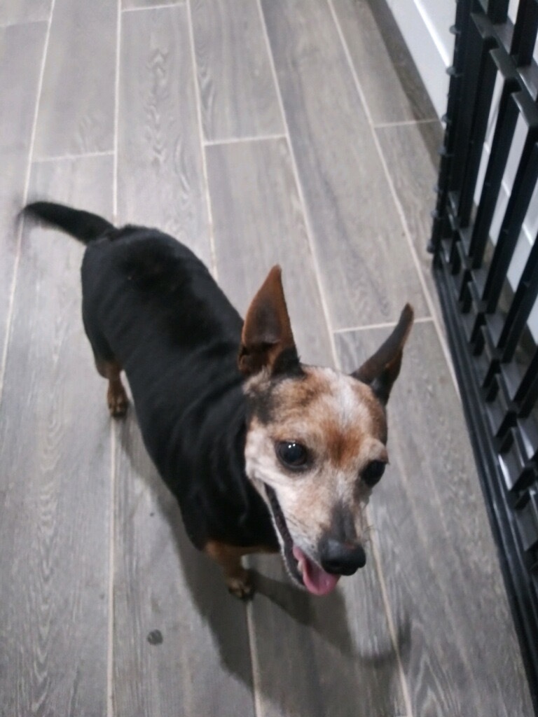 BonBon