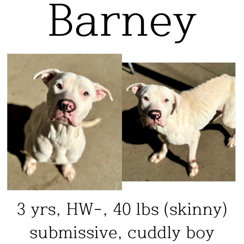 Barney detail page