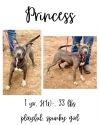 Princess photo 1