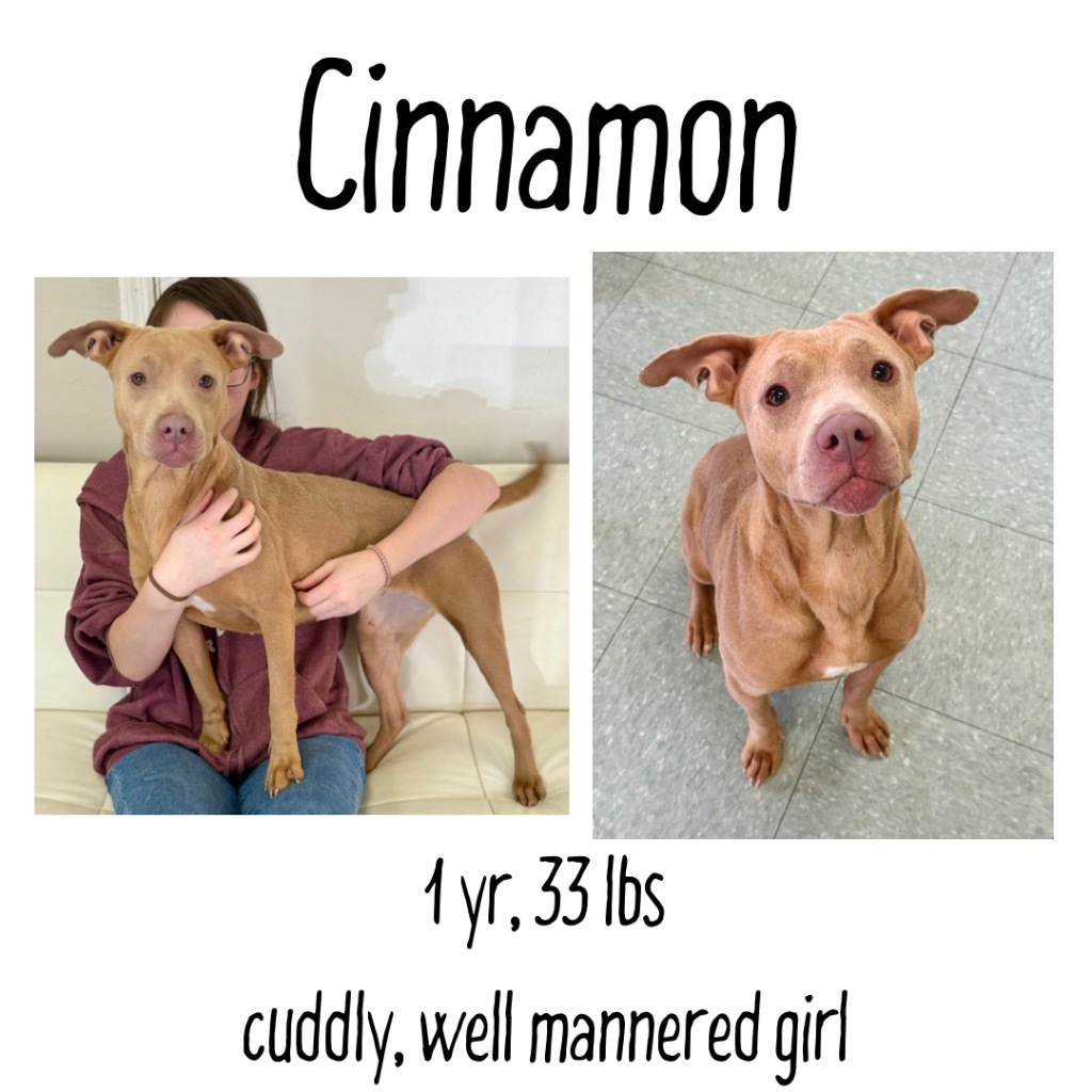 Cinnamon detail page