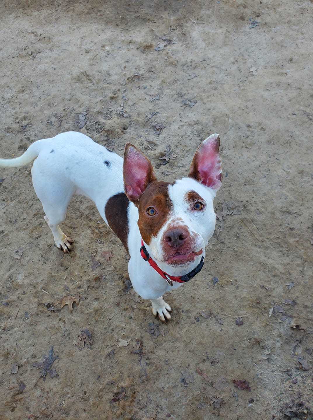 Coco