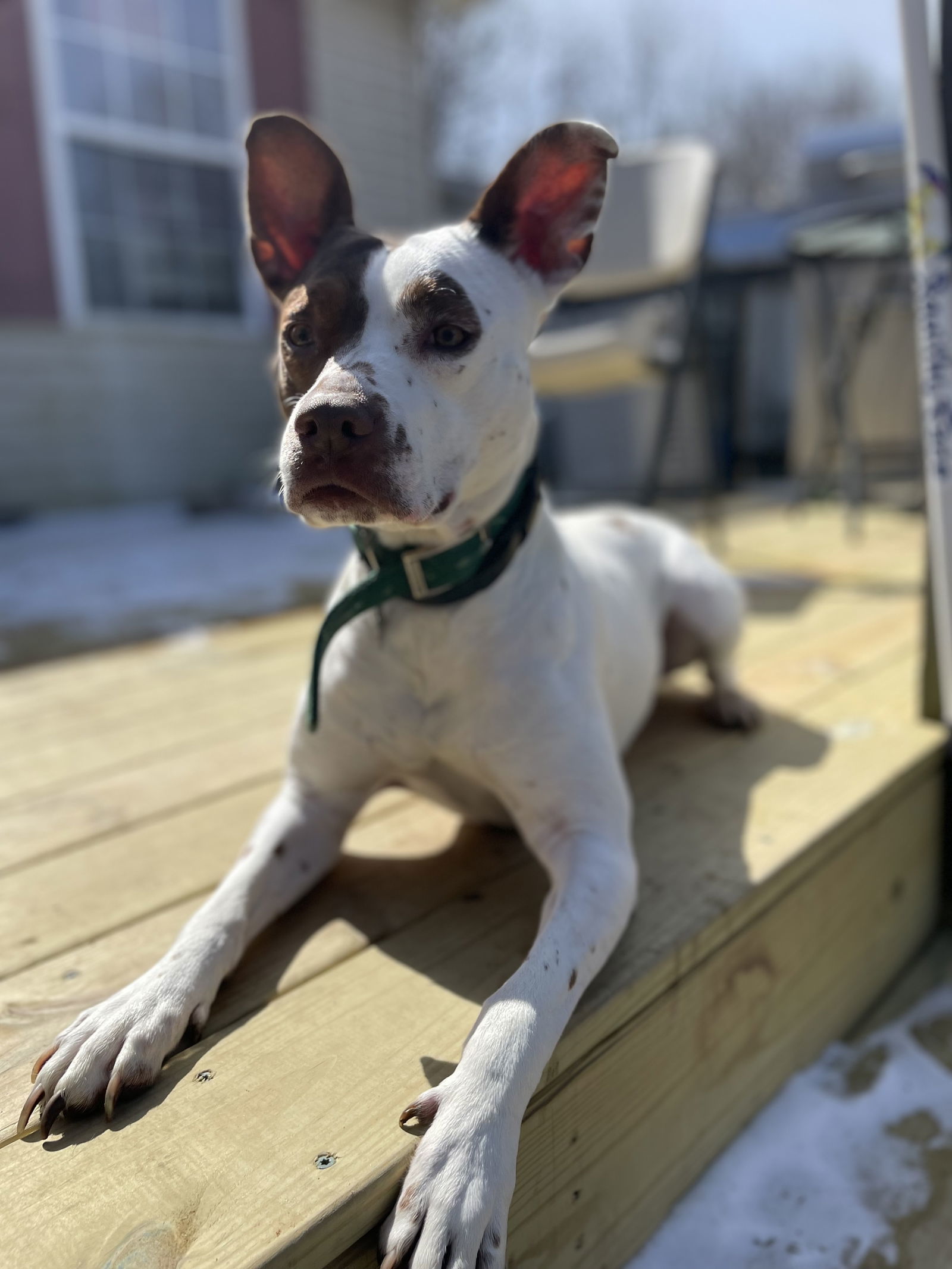 Coco