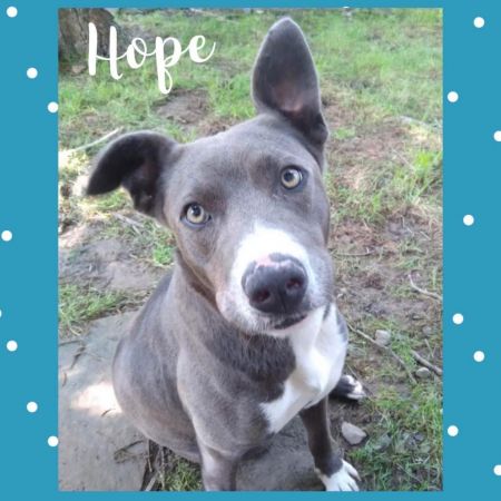 Hope photo