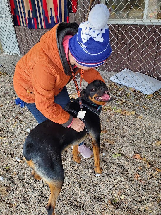 Dog for adoption Beatrice Bea a Rottweiler in Winona MN