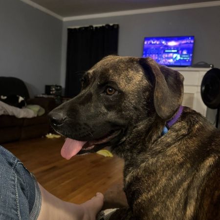 Mia 2 photo