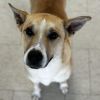 Darla photo 2