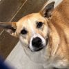 Darla photo 3