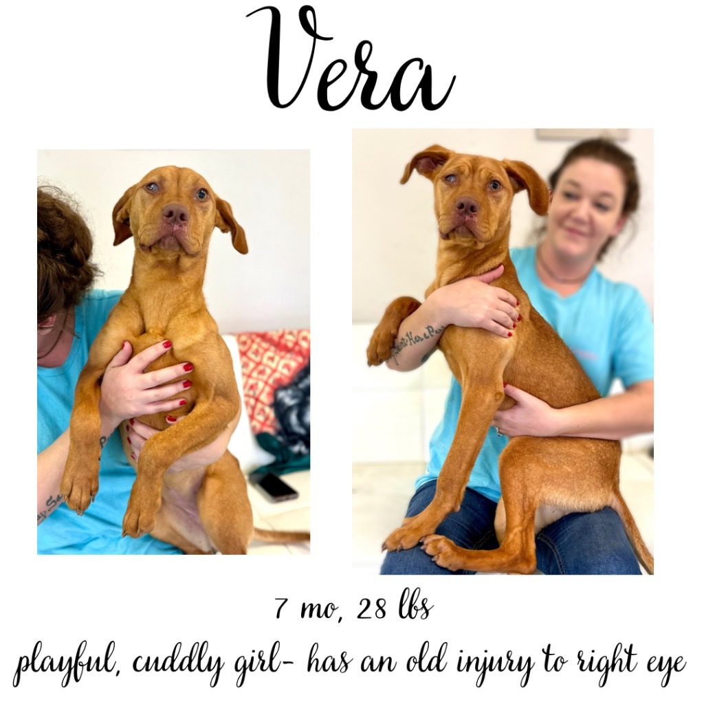 Vera detail page