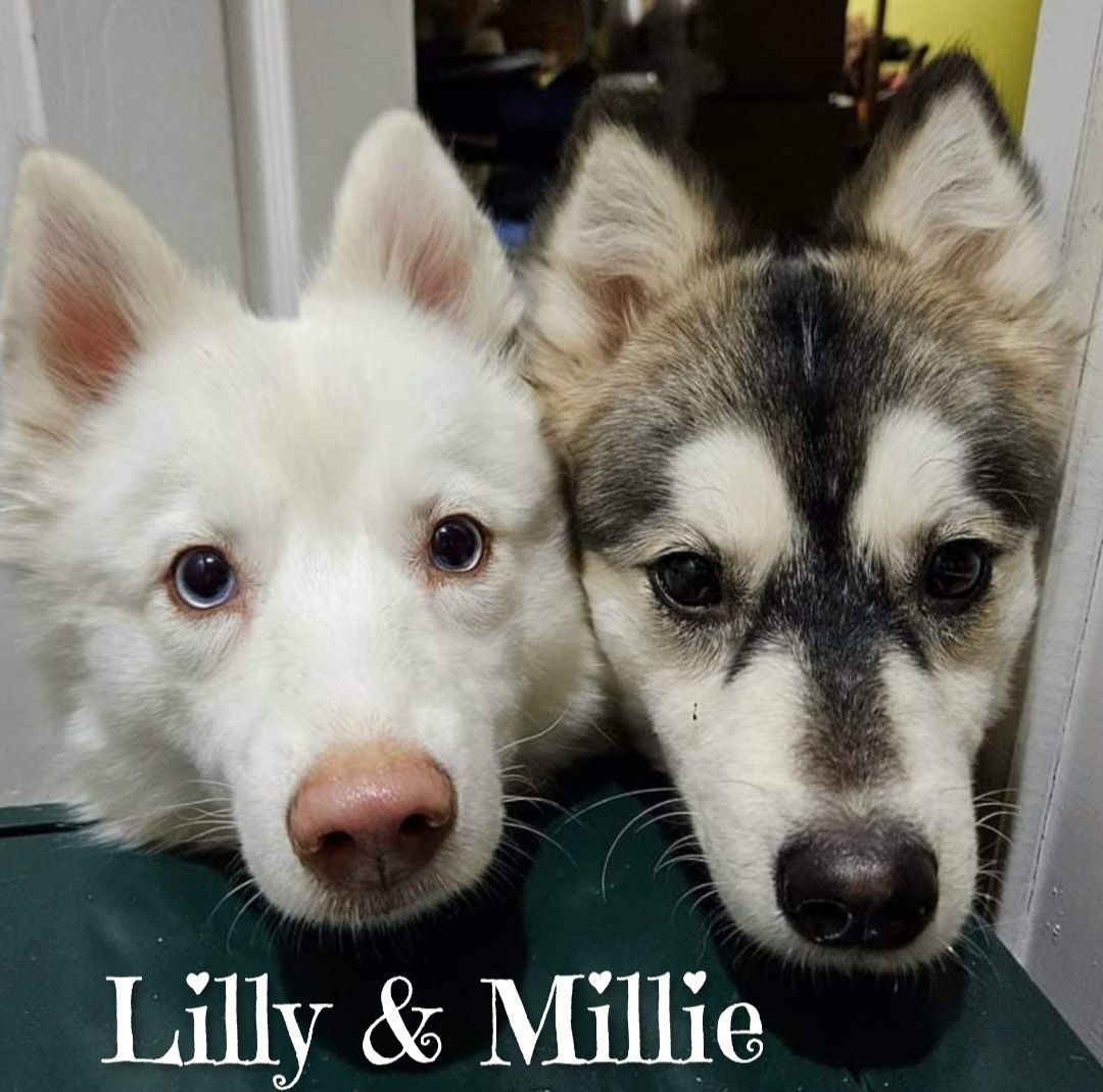 Millie and Lilly