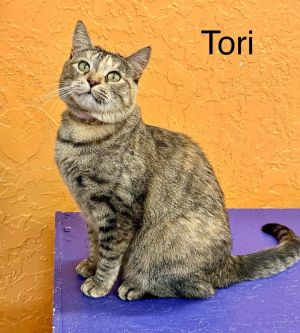 Tori