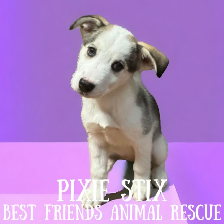 Pixie Stix 1