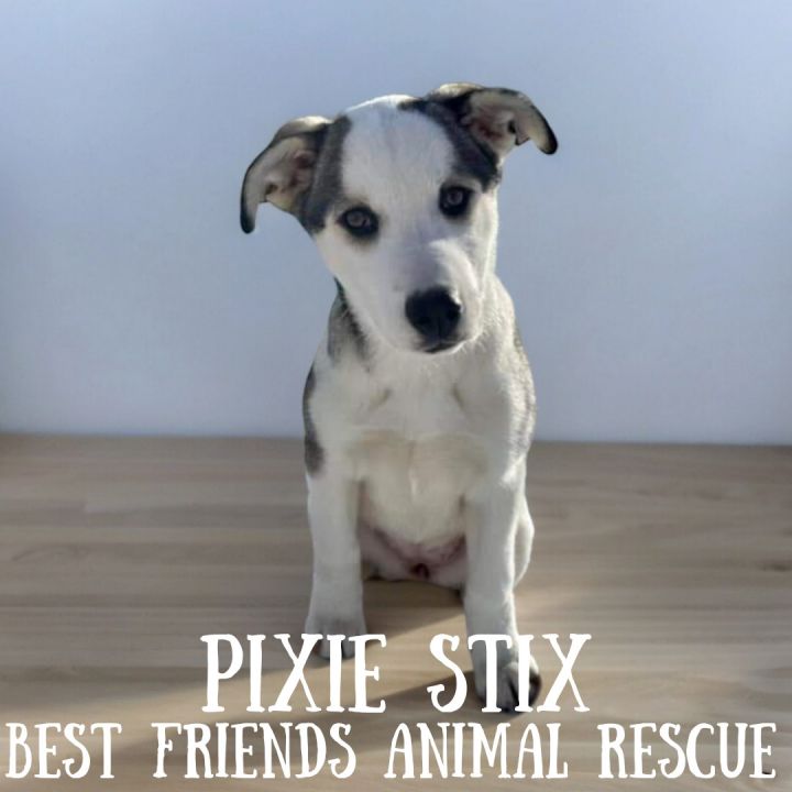 Pixie Stix 3