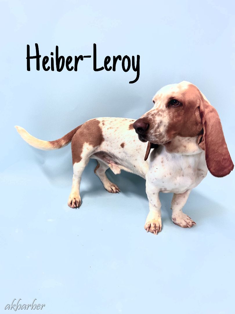 Heber-Leroy