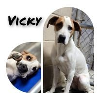 Vicky 1