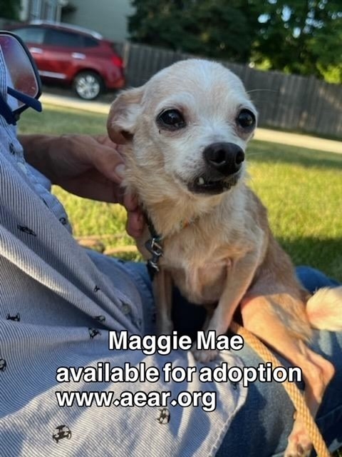 Maggie Mae 2