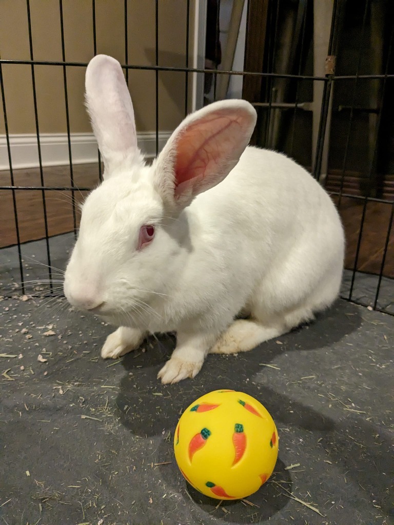 Sabrina