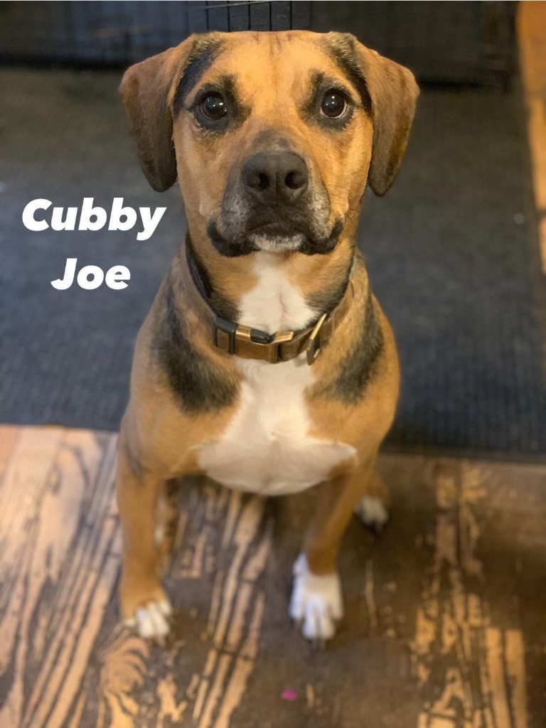 Cubby Joe