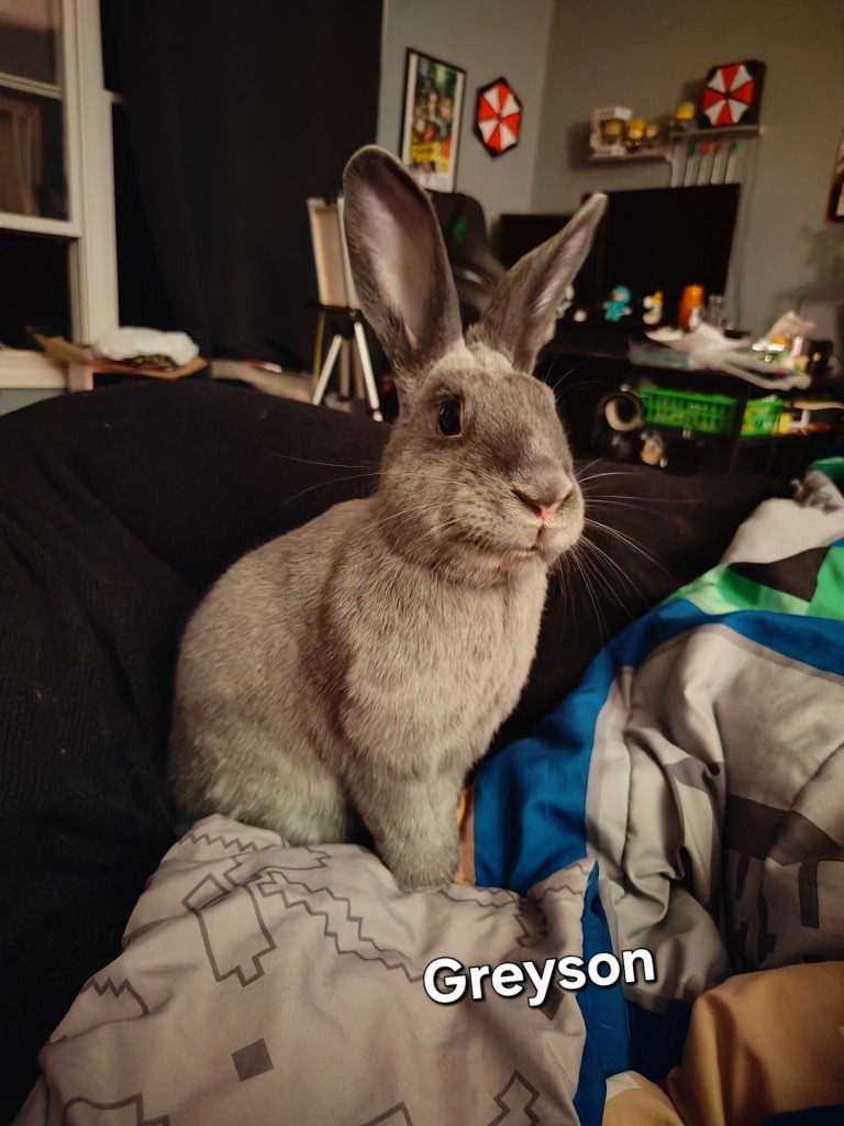 Greyson