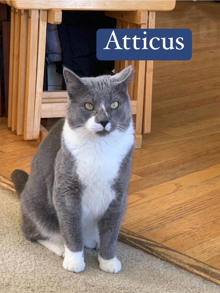Atticus detail page