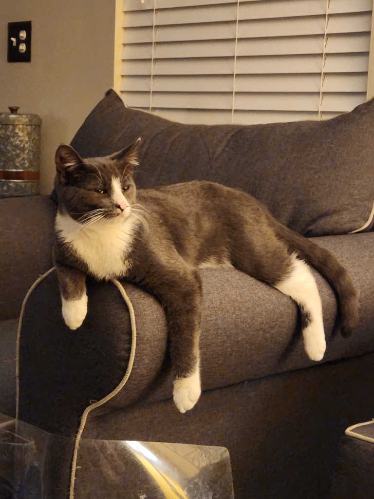 Finn