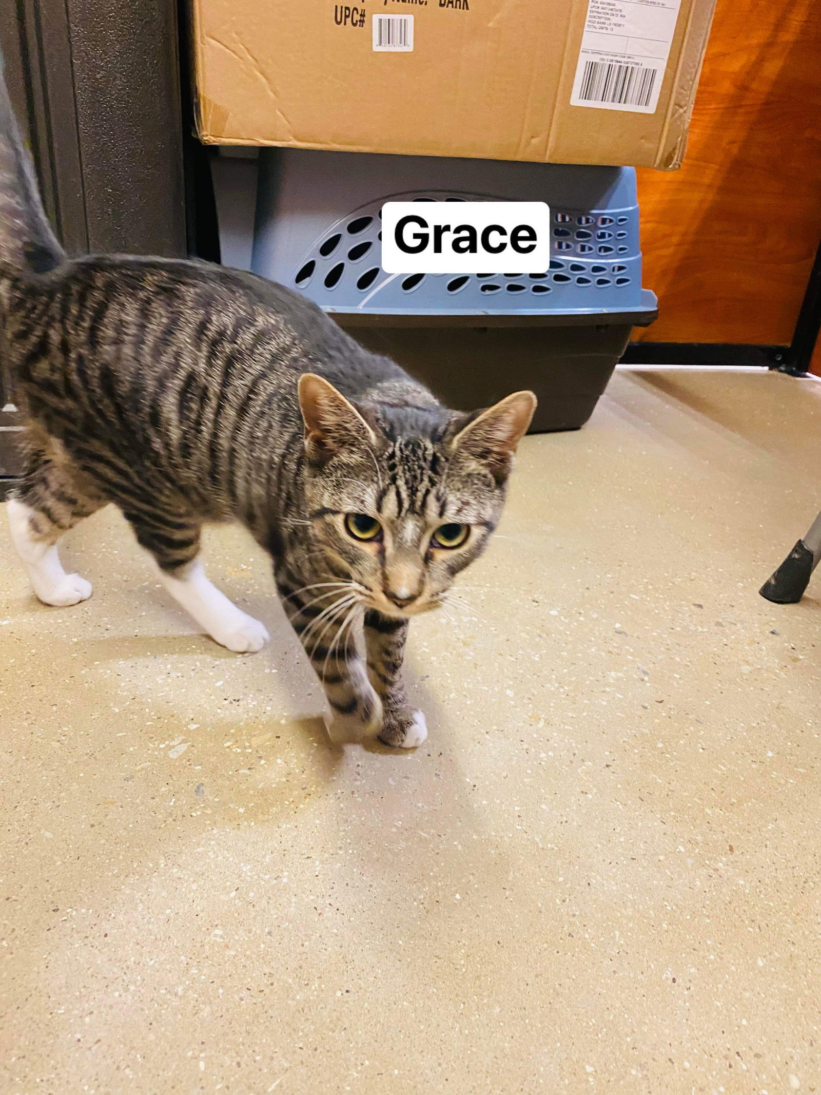 Grace