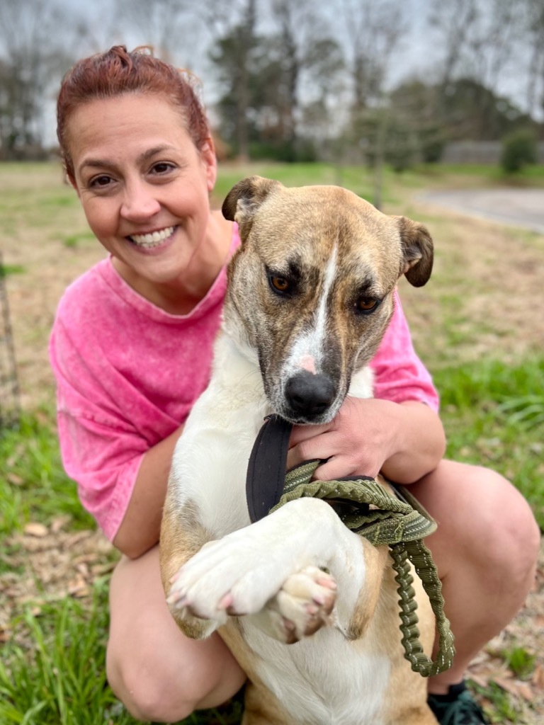 Oakley, an adoptable Akita, Mountain Cur in St. Francisville, LA, 70775 | Photo Image 2