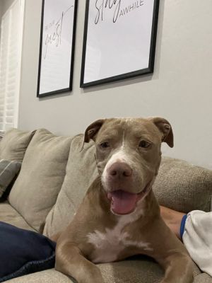 Meg (Courtesy post)