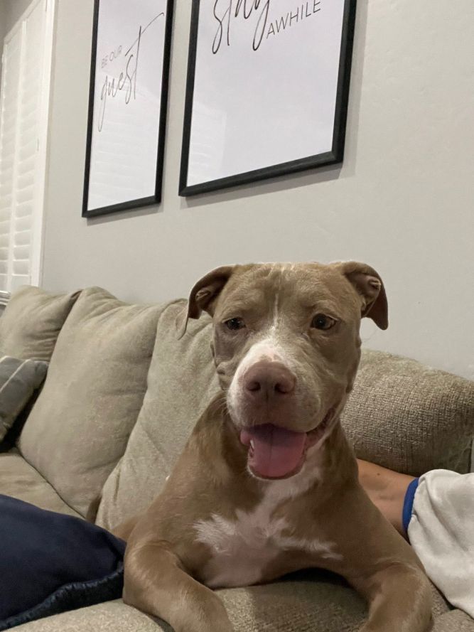 Meg (Courtesy post)