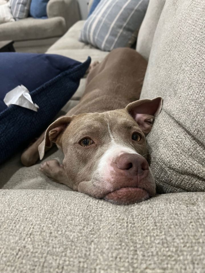 Meg (Courtesy post) 2