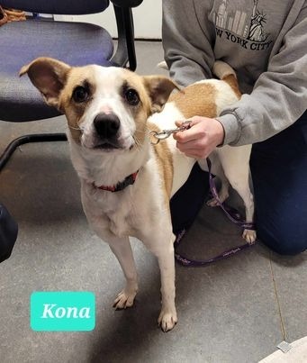 Kona